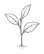 Site icon